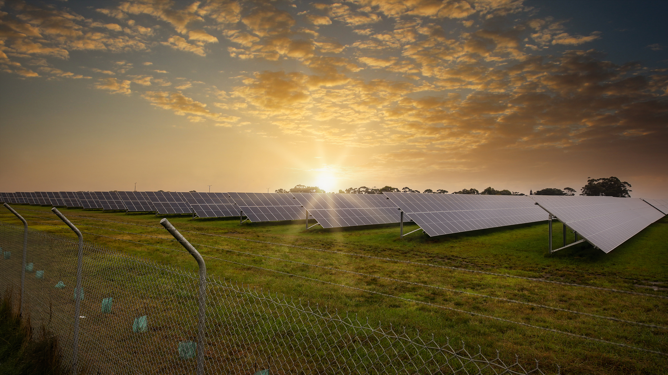 Field of solar panels outside Tullamarine airport at sunset